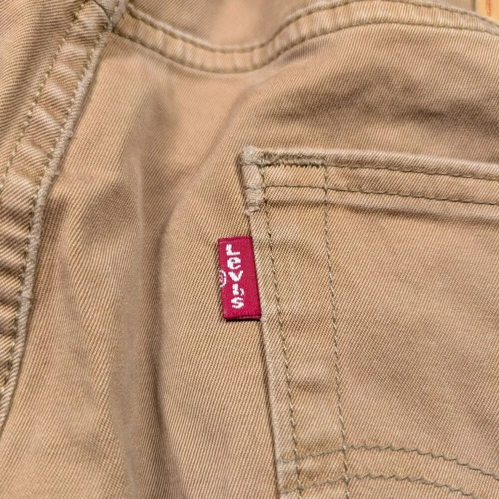 Levis levi 541